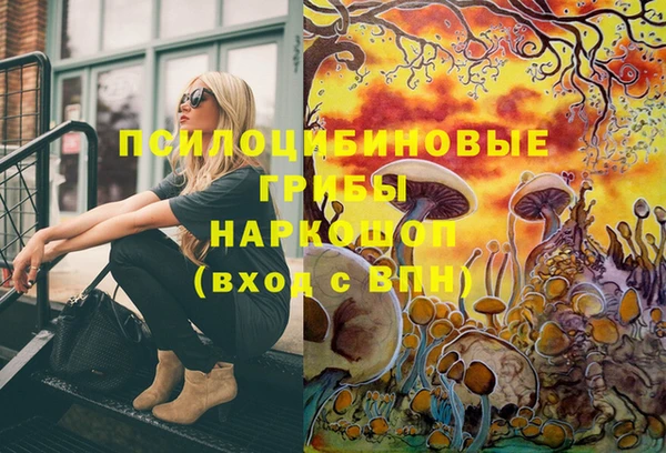 хмурый Наволоки
