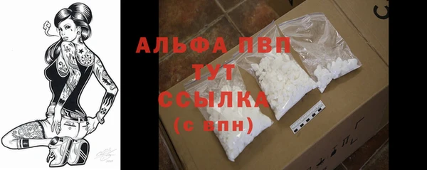 СК Михайлов