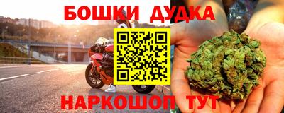 крисы Можга