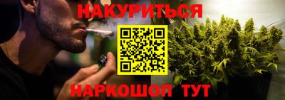 сатива Моздок