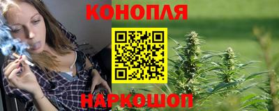 крисы Можга