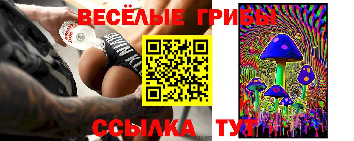 Псилоцибиновые грибы GOLDEN TEACHER Пыть-Ях